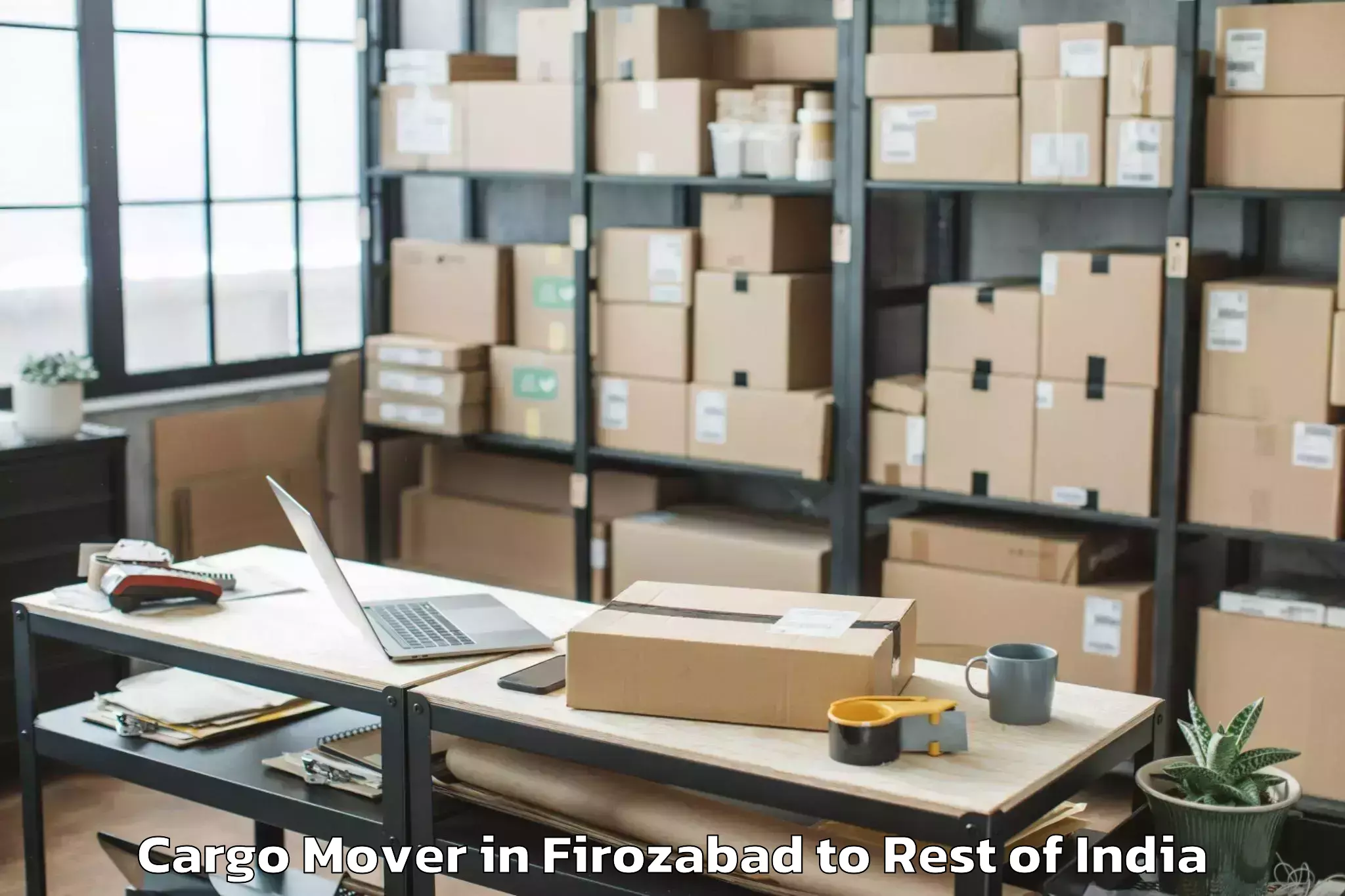 Top Firozabad to Marshaghai Cargo Mover Available